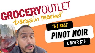 BEST Pinot Noir Under 15  Grocery Outlet Wine Haul [upl. by Yasnyl]