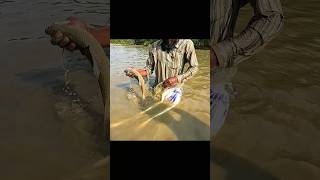 😯How to fish with a polo in the river shorts polofishing riversfishing Best Polo Fishing india [upl. by Byran]