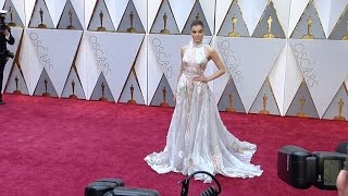 Hailee Steinfeld 2017 Oscars Red Carpet [upl. by Suoiluj]