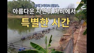 Ba Vi 의 호수가에서의 특별한 점심 베트남 BaVi 맛집후기 [upl. by Gayl]