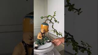 How to create a Waterfall style for bonsai trees bonsaitips bonsaiideas bonsai bonsaitree [upl. by Oflodor670]