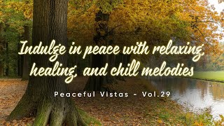 Aurora Borealis Expedition  Indulge in peace with relaxing healing and chill melodies  Vol29 [upl. by Imij168]