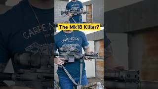 Is this rifle the mk18 killer [upl. by Rehptsirhc650]