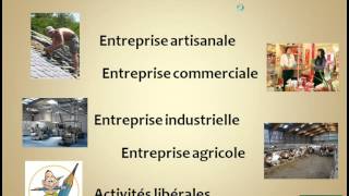 Economie  Les différents types dentreprises [upl. by Nivart]