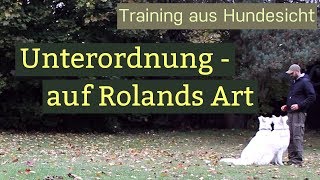 Hundetraining Unterordnung  Training mit zwei Hunden [upl. by Aicnorev]