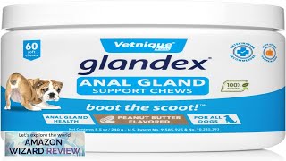 Glandex Anal Gland Soft Chew Treats with Pumpkin for Dogs Digestive Enzymes Review [upl. by Riba570]