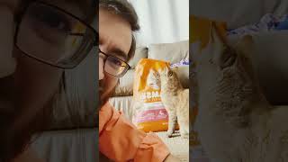 Behind the Scenes with Mittens the Orange Cat 🧡🐾  A Peek into a Day in Mittens Life [upl. by Blainey]