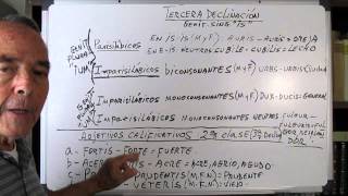 4ª sesión latin 3ª declinacion y 2 clase de adjetivos calificativos [upl. by Lordan]