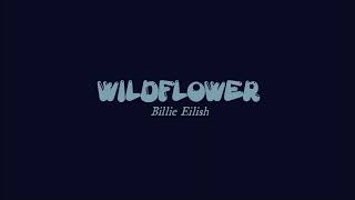 WILDFLOWER Lyrics  Billie Eilish [upl. by Nowahs]