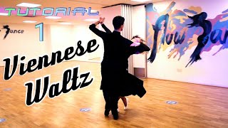 Viennese Waltz Lesson  How to dance Natural amp Reverse Turns  Footwork amp Technique for Beginners [upl. by Netsruk]