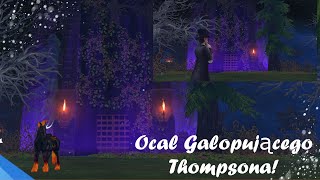 Star Stable Online 34 Ocal Galopującego Thompsona Galopujący Thompson ma wyrzuty sumienia [upl. by Dine]