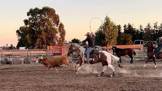 WESTON HIP 244 CLOVIS HORSE SALE AUG 1617 Levelland Texas [upl. by Ethbun]