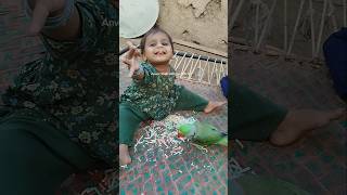 Kitna Piyara Scene Hie parrot cutebaby shorts funny [upl. by Moffitt]