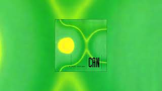 Can  The Peel Sessions  Full Album [upl. by Annaegroeg]