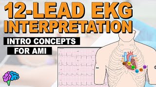 Introductory Concepts for Acute Myocardial Infarction AMI on 12Lead EKG [upl. by Aicats]