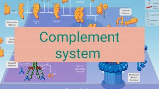 Complement system in urduhindi [upl. by Boffa]