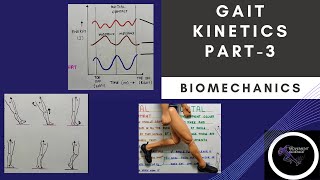 GAIT KINETICS Part 3 Gait BiomechanicsPhysiotherapy Tutorial [upl. by Bellina]