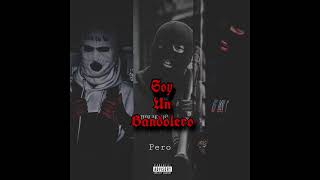 SOY UN BANDOLERO Video Lyrics [upl. by Aicram704]