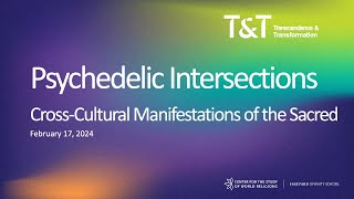 Psychedelic Intersections Conference Slideshow [upl. by Ivers160]