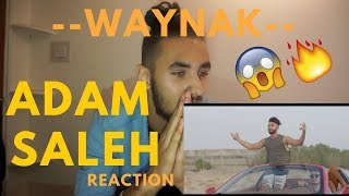 Adam Saleh  Waynak ft Faydee Official Music Video REACTION [upl. by Atteuqihc]