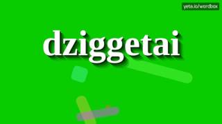 DZIGGETAI  HOW TO PRONOUNCE IT [upl. by Anyel]