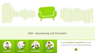 DNA  Verpackung und Chromatin einfach erklärt  sofatutor [upl. by Gardal570]