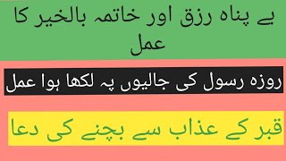 روضہ رسول کی جالیوں پر لکھی ہوئی دعا جس کو پڑھنے سے رزق میں برکت اور خاتمہ بالخیر پر ہوگا انشاء اللہ [upl. by Natam241]