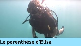 La parenthèse dElisa  Thalassa Documentaire [upl. by Elades377]