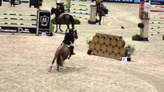 Chesall et Simon Delestre  CSIW de Bordeaux [upl. by Liliane]