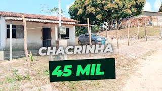 Chacrinha baratinha valor 45 mil o dono baixou o valor 79 9 99979391 [upl. by Alamac]