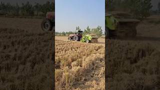 Paddy straw chopper chopper tractor village trending viralvideo officialroyallife top share [upl. by Alrac13]