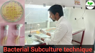 preparation of bacterial subculture  how to revive bacteria from old slant RN Biology [upl. by Nivrac]