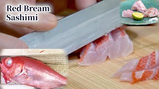 Sashimi How to Make Red Bream Sashimi [upl. by Yuille378]