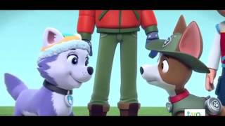 Ryder Paw Patrol And Katie Paw Patrol Glow Up  Paw Patrol The Movie [upl. by Omrelliug]