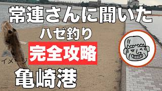 亀崎港 常連さんに聞いたハゼ釣り完全攻略 ちょっといい話 2024年8月31日 [upl. by Swope335]