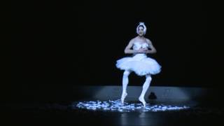 Les Ballets Trockadero de Monte Carlo  The Dying Swan [upl. by Oakleil]