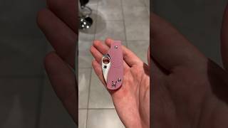 Spyderco Squeak Slipjoint 🐁 Perfect Girlfriend Knives Pt2 [upl. by Ibob]