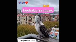 kookaburra music [upl. by Sone]