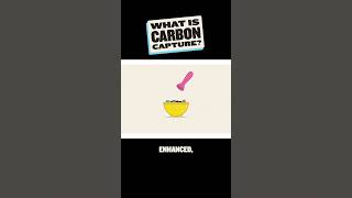 What is Carbon Capture shorts science [upl. by Norven]