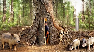 Building a secret shelter deep inside big tree [upl. by Feldman]