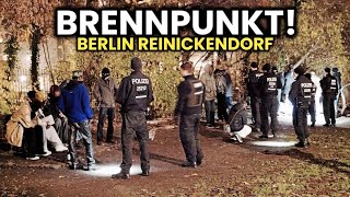 Die gefährlichsten Ecken in Reinickendorf 😱🔥 Berliner Brennpunkt 100 Migration [upl. by Assehc]