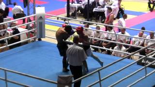 Igor Postnikov WAKO world championship 2012 SlovakiaBratislavaR1 [upl. by Aldus242]