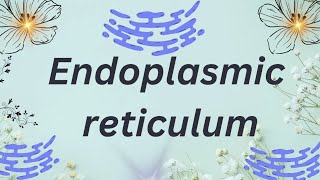 What is Endoplasmic reticulum🤔🤔 Easy explanation in hindi 🤓🤓biology2024 [upl. by Chilt269]