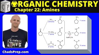 224e Synthesis of Amines Reductive Amination [upl. by Monah895]