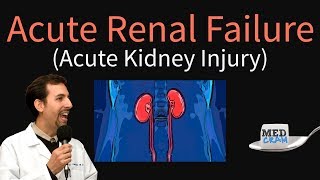 Acute Kidney Injury  Acute Renal Failure Explained Clearly  BUN Creatinine Ratio [upl. by Richer]