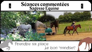 Séances commentées  sagesse équine [upl. by Bromleigh]