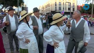 ROMERIA Fiestas Puerto del Rosario 2024  05102024 [upl. by Ynner]