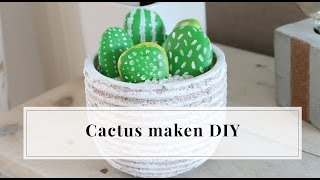 Cactus maken met stenen DIY  Furnlovers [upl. by Leong]