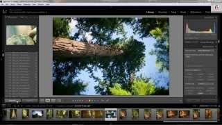 Lightroom 5 Tutorial  Calibrate RAW files to match camera settings [upl. by Jeana106]