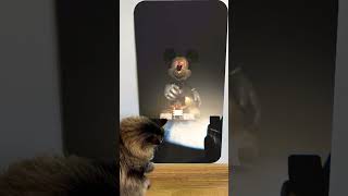 Cat reaction to 😱 mickey mouse s clubhouse 💀😲Skibidi Toilet Song shorts monster creepy scary [upl. by Lenci]